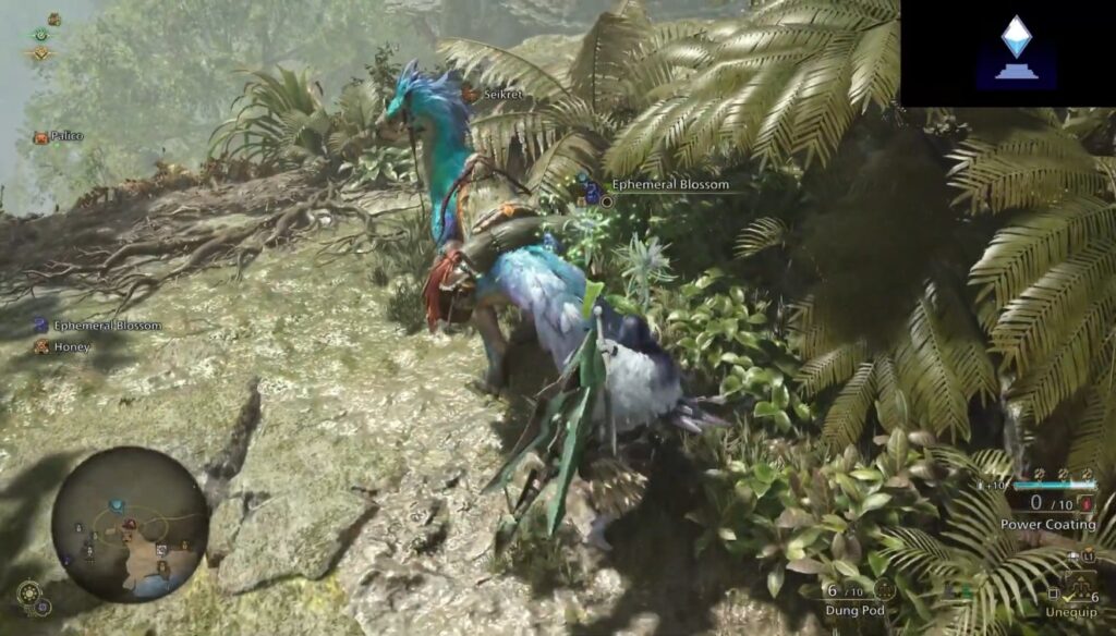 Monster Hunter Wilds Ephemeral Blossoms Location and Farming Spot