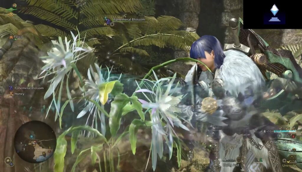 Monster Hunter Wilds Ephemeral Blossoms Location and Farming Spot