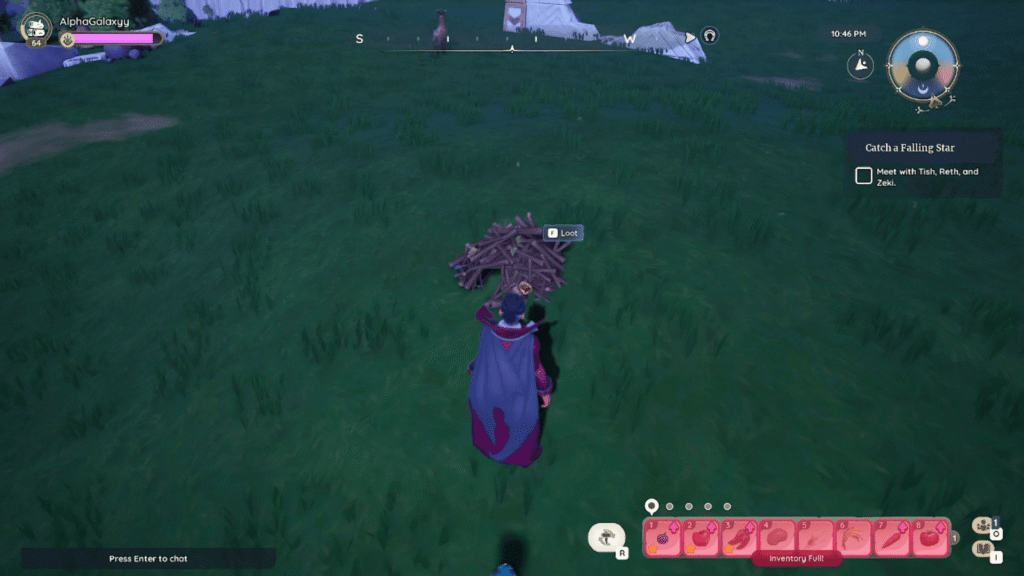 Palia Elderwood Rummage Pile location and farming spot