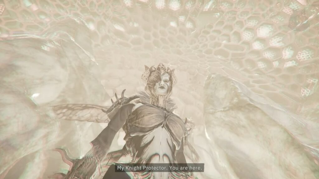 Confrontation Looks Like Hope Bee Quest
