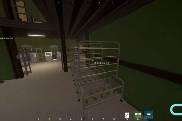Schedule 1: How To Use Drying Racks