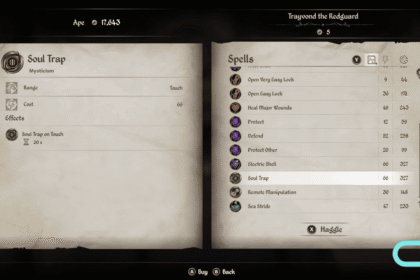 Oblivion Remastered Soul Trap high and low level spell location