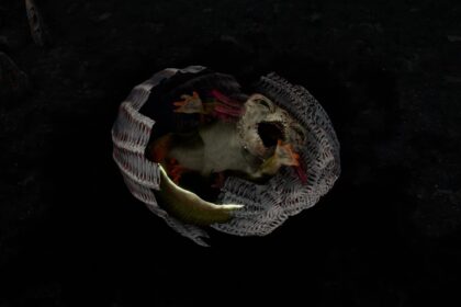 How To Find and Hatch Qrko